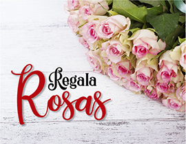 regala rosas en Medellín